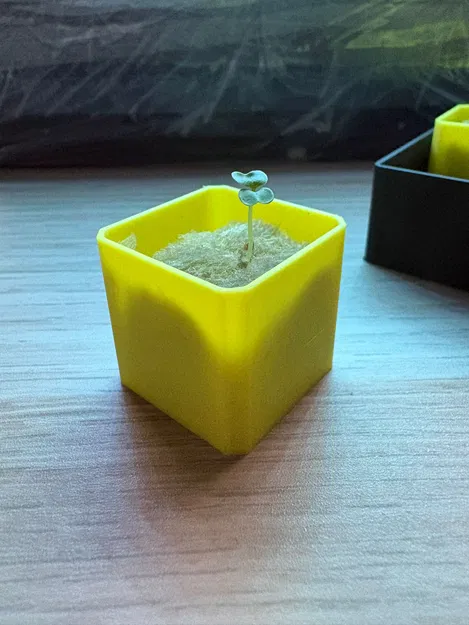 Mini Seedling Starter – Tùy chỉnh hoàn toàn - Image 3