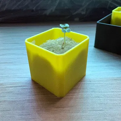 Mini Seedling Starter – Tùy chỉnh hoàn toàn