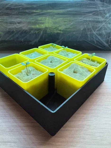 Mini Seedling Starter – Tùy chỉnh hoàn toàn - Image 4