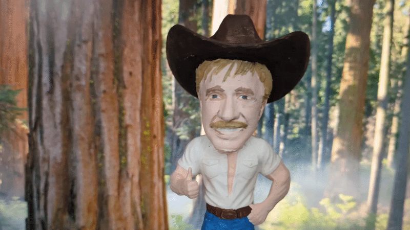 Chuck Norris BobbleHead (Đầu lắc lư) - Image 1