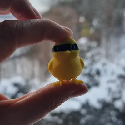 Mini chick (gà con mini)