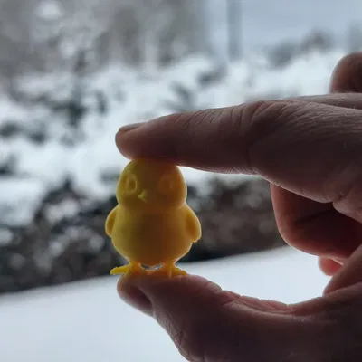 Mini chick (gà con mini)