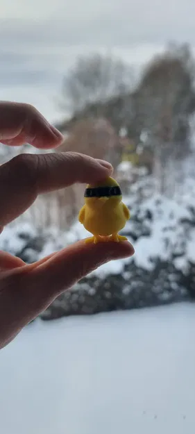 Mini chick (gà con mini) - Image 5