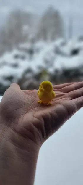 Mini chick (gà con mini) - Image 6