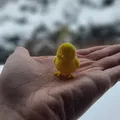Mini chick (gà con mini) - Thumbnail 6