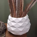 Bình Hoa (Flower Vase) - Thumbnail 1