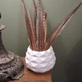 Bình Hoa (Flower Vase) - Thumbnail 3