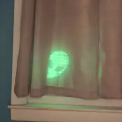 Alien Peeking – Alien ló nhìn qua cửa sổ