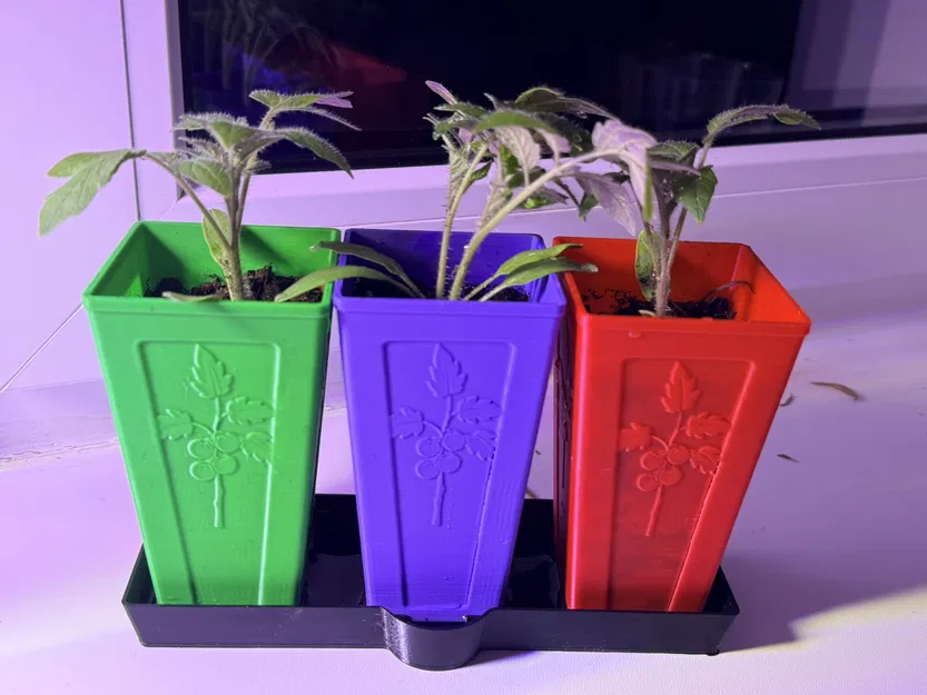 TomatoStart – Hệ thống ươm cây cà chua tối ưu - Image 1