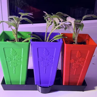 TomatoStart – Hệ thống ươm cây cà chua tối ưu