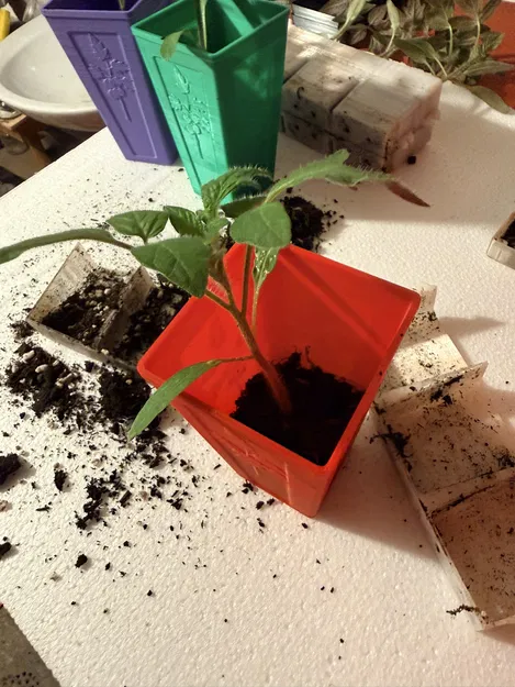 TomatoStart – Hệ thống ươm cây cà chua tối ưu - Image 8