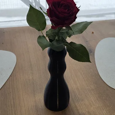 Bình Hoa Đơn Giản Để Cắm Vài Bông