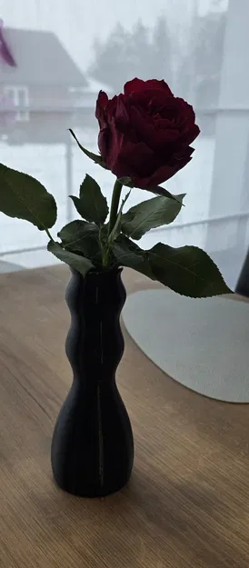 Bình Hoa Đơn Giản Để Cắm Vài Bông - Image 4