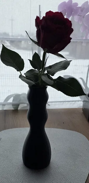 Bình Hoa Đơn Giản Để Cắm Vài Bông - Image 5