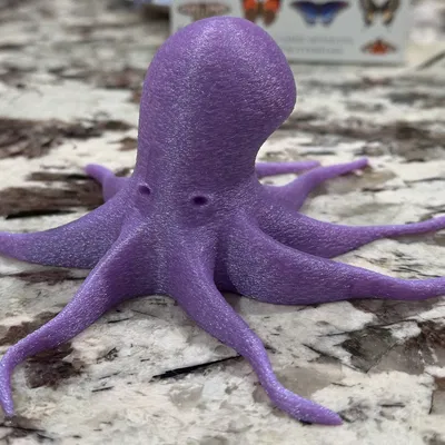 Tượng Bạch Tuộc (Octopus Figure)