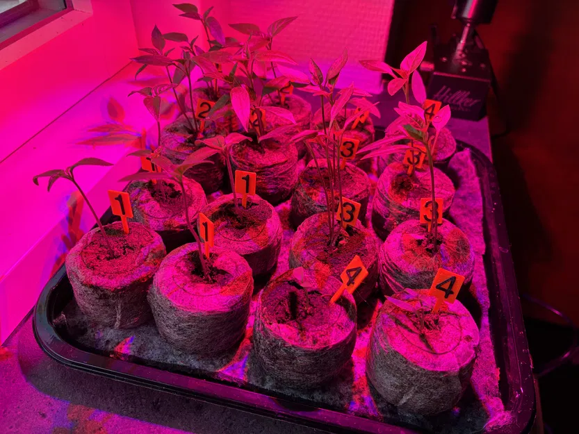 Bảng số nhỏ cho cây nhỏ - Image 1