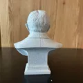 Theodore Roosevelt — Bust (Tượng bán thân) - Thumbnail 4
