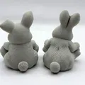 Easter Bunny Duo – Cặp Thỏ Phục Sinh Chibi Dễ Thương - Thumbnail 4