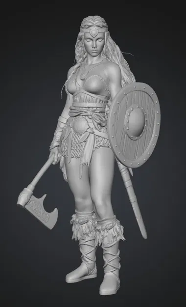 Nữ Chiến Binh Khiên Bão Tố (Shield Maiden of the Storm) - Image 1