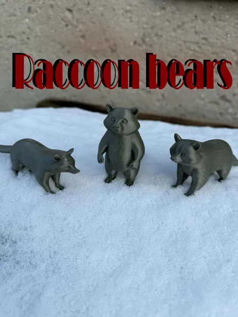 Beautiful Raccoon Bears – Gia đình gấu mèo xinh xắn - Image 1