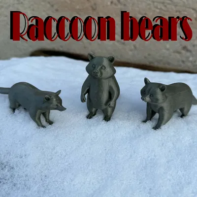 Beautiful Raccoon Bears – Gia đình gấu mèo xinh xắn