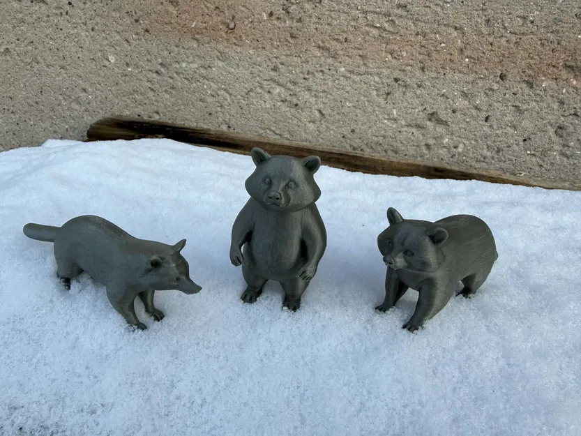 Beautiful Raccoon Bears – Gia đình gấu mèo xinh xắn - Image 2