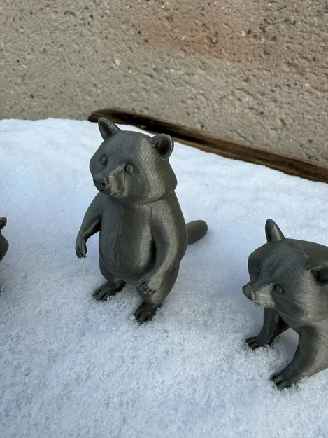 Beautiful Raccoon Bears – Gia đình gấu mèo xinh xắn - Image 3