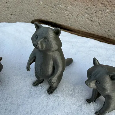 Beautiful Raccoon Bears – Gia đình gấu mèo xinh xắn