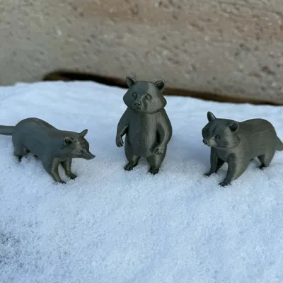 Beautiful Raccoon Bears – Gia đình gấu mèo xinh xắn