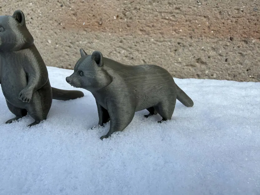 Beautiful Raccoon Bears – Gia đình gấu mèo xinh xắn - Image 5