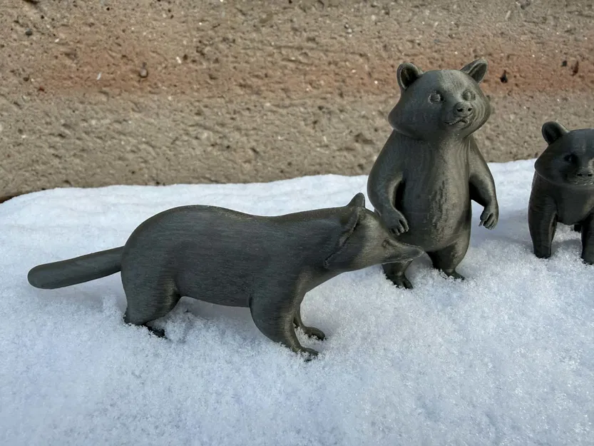 Beautiful Raccoon Bears – Gia đình gấu mèo xinh xắn - Image 6