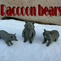 Beautiful Raccoon Bears – Gia đình gấu mèo xinh xắn - Thumbnail 7