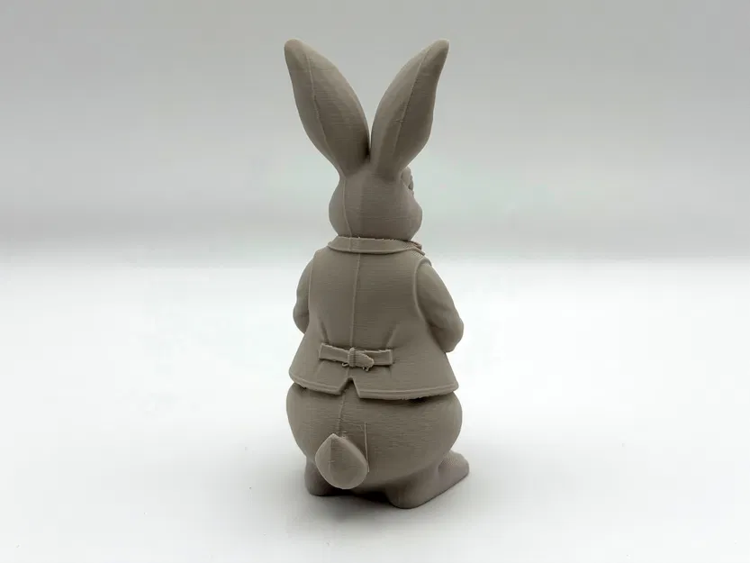 Dressed Easter Bunny – Thỏ Phục Sinh Mặc Lễ Phục - Image 3