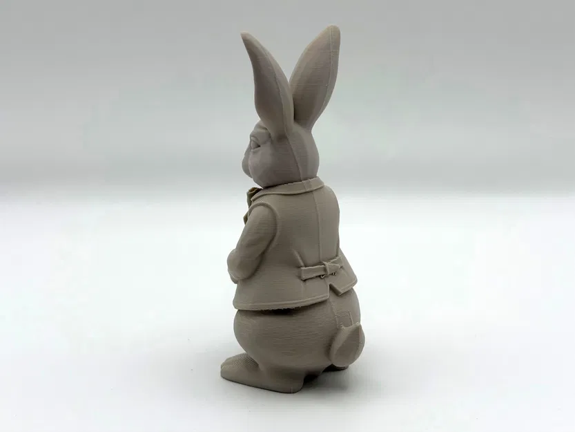 Dressed Easter Bunny – Thỏ Phục Sinh Mặc Lễ Phục - Image 5