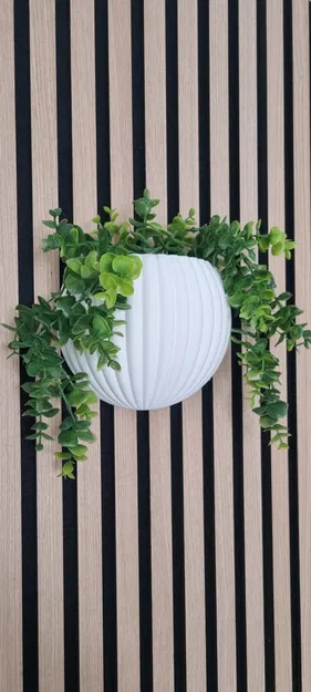 Ribbed Harmony – Bình hoa treo tường acoustic đa năng - Image 1