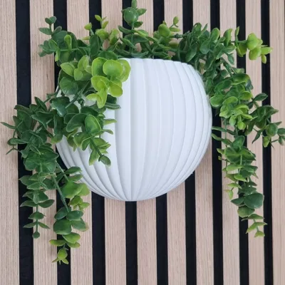 Ribbed Harmony – Bình hoa treo tường acoustic đa năng