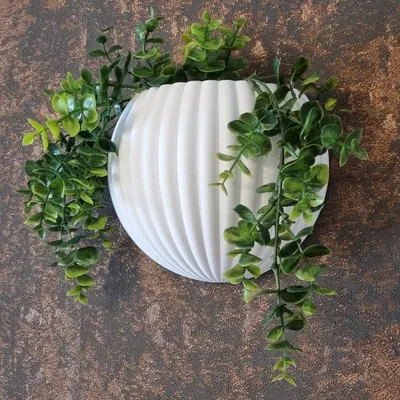 Ribbed Harmony – Bình hoa treo tường acoustic đa năng