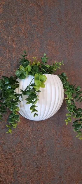 Ribbed Harmony – Bình hoa treo tường acoustic đa năng - Image 7