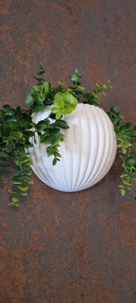 Ribbed Harmony – Bình hoa treo tường acoustic đa năng - Image 8