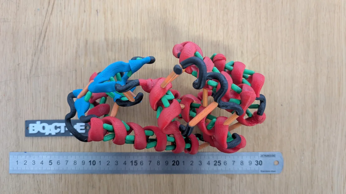 Cấu trúc bậc ba của T4 Lysozyme (PDB 1LYD) - Image 1