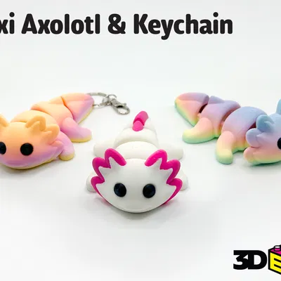 Flexi Axolotl & Móc Khóa – Không Cần Supports