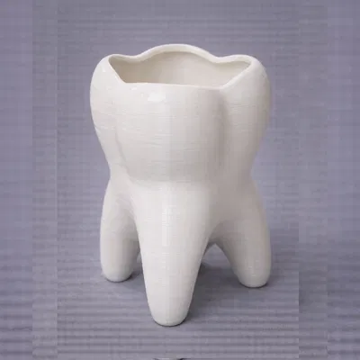 Chậu trồng cây Răng (Tooth Planter)