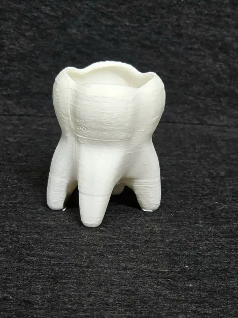 Chậu trồng cây Răng (Tooth Planter) - Image 2