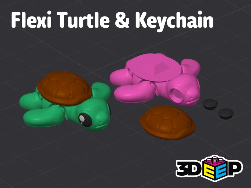 Rùa Flexi & Móc khóa – Không cần Supports - Image 2