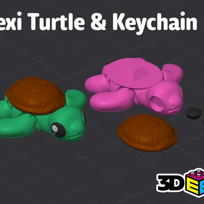 Rùa Flexi & Móc khóa – Không cần Supports