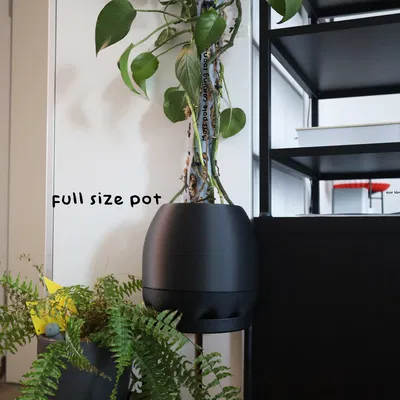 Pluffy pots – Chậu cây bông bông dễ thương