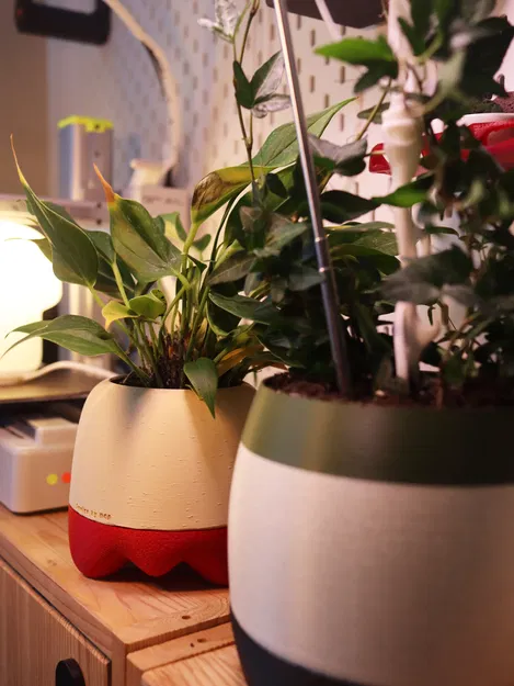 Pluffy pots – Chậu cây bông bông dễ thương - Image 5