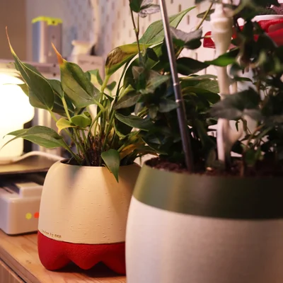 Pluffy pots – Chậu cây bông bông dễ thương 5