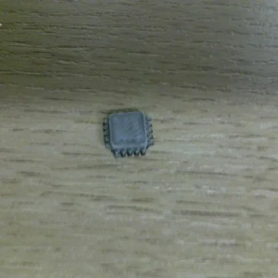 Puce électronique (Chip điện tử)