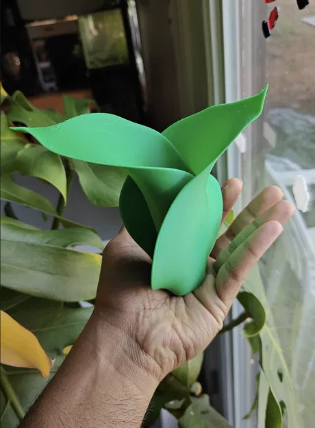 Bình Hoa Lấy Cảm Hứng Từ Lá (Leaf Inspired Vase) - Image 3